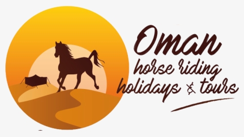 Equestrian Trip In Oman - Stallion, HD Png Download, Transparent PNG