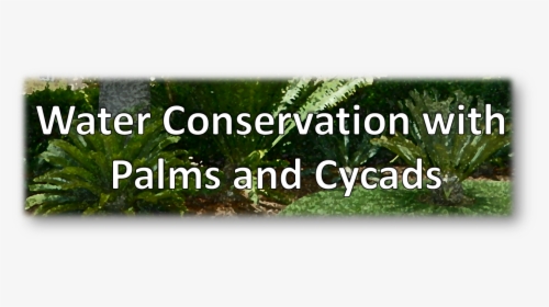 Banner Water Conservation, HD Png Download, Transparent PNG