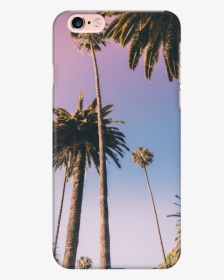 Palm Tree Case - Beverly Hills Palm Trees, HD Png Download, Transparent PNG