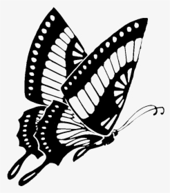 Transparent Butterfly Clipart - Butterfly Clip Art Black And White, HD Png Download, Transparent PNG