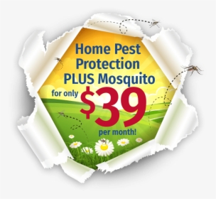 Home Pest Protection Plus Logo - Graphic Design, HD Png Download, Transparent PNG