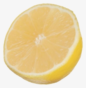 #lemon Png 🍋 ♡tags♡ - Sweet Lemon, Transparent Png, Transparent PNG
