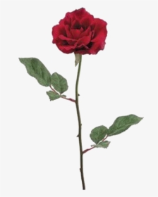 Red Roses Silk Flower, HD Png Download, Transparent PNG