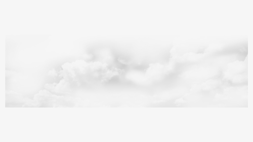 Snow , Png Download - Tree, Transparent Png, Transparent PNG