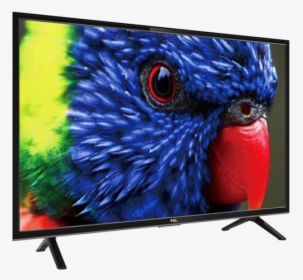 Tcl Led 32 Inch, HD Png Download, Transparent PNG