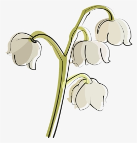 Garlic, HD Png Download, Transparent PNG