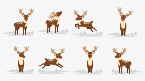 Deer Caribou Cartoon Vector - Caribou Animated, HD Png Download, Transparent PNG
