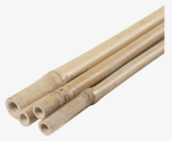 Bambú D8 Pack 4 Unit - Wood, HD Png Download, Transparent PNG
