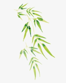 Cartoon Transprent Png Free - Bamboo Leaves Cartoons Png, Transparent Png, Transparent PNG