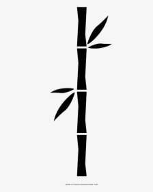 Bamboo Coloring Page - Bamboo Colouring, HD Png Download, Transparent PNG