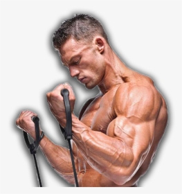 Resistance - Build Muscle With Bands, HD Png Download, Transparent PNG