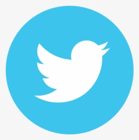 Transparent 100 Percent Png - Transparent Twitter Logo Png, Png Download, Transparent PNG