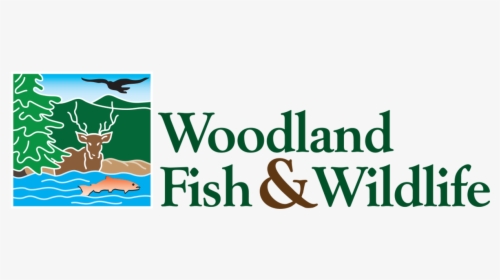 Woodland Fish And Wildlife - Graphic Design, HD Png Download, Transparent PNG