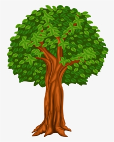 Clip Art Cartoon Tree Png - Transparent Background Tree Clipart, Png Download, Transparent PNG