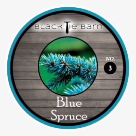 Blue Spruce, HD Png Download, Transparent PNG