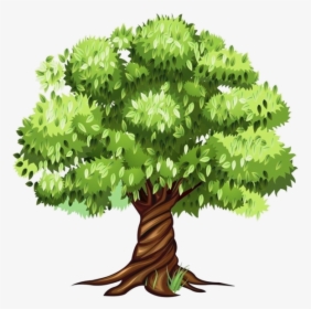 Tree Clipart, HD Png Download, Transparent PNG