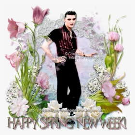 Elvis Presley Happy Spring New Week - Artificial Flower, HD Png Download, Transparent PNG