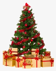 Christmas Tree Png - Transparent Christmas Tree Png, Png Download, Transparent PNG