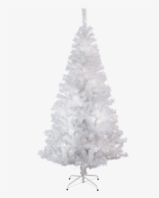 Christmas Tree W Led Kalix - Christmas Tree, HD Png Download, Transparent PNG