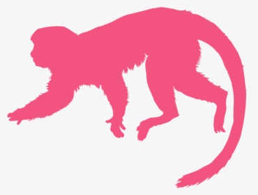 Orange Monkey Silhouette, HD Png Download, Transparent PNG