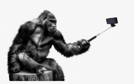 Gorilla Png Image - Gorilla Png, Transparent Png, Transparent PNG