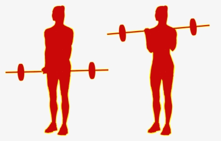 Barbell Or Cable-curls 21s - Powerlifting, HD Png Download, Transparent PNG