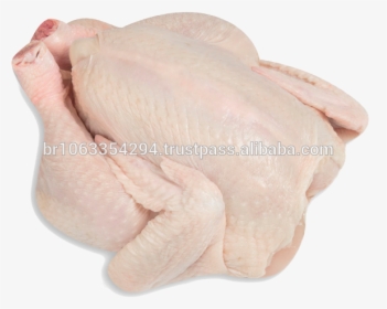 Brazil Halal Frozen Whole Chicken, Frozen Chicken Paws - Whole Chicken Frozen, HD Png Download, Transparent PNG