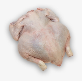 Turkey Meat , Png Download - Turkey Meat, Transparent Png, Transparent PNG