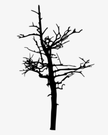 Scary Tree Silhouette Transparent, HD Png Download, Transparent PNG