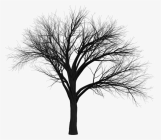Tree, Branch, Empty, Isolated, Black, Spooky, Halloween - Allama Iqbal Poetry In Urdu Sh, HD Png Download, Transparent PNG