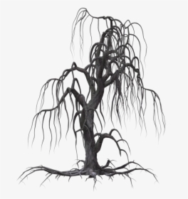 Tree Drawing Willow Clip Art - Creepy Willow Tree Silhouette, HD Png Download, Transparent PNG