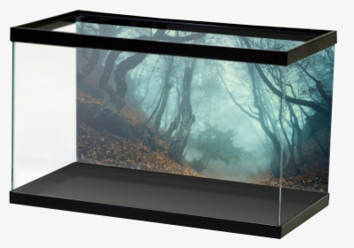 Creepy Forest - River Rock Aquarium Background, HD Png Download, Transparent PNG