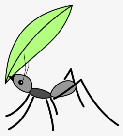 Transparent Hormiga Png - Ant With Leaf Drawing, Png Download, Transparent PNG
