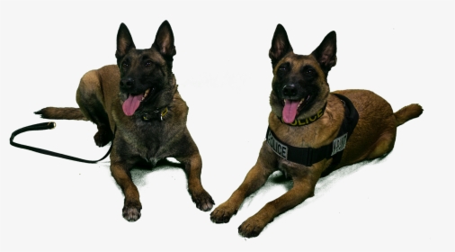 University Of Michigan Police Canines Tank And Nike - Transparent K9 Dogs, HD Png Download, Transparent PNG
