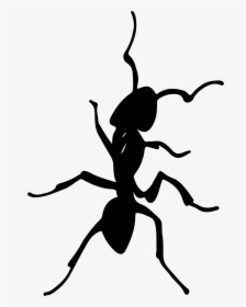 Clip Art, HD Png Download, Transparent PNG