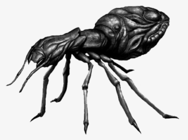 Hormiga Png, Transparent Png, Transparent PNG