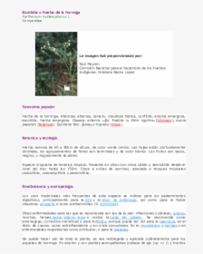 Tree, HD Png Download, Transparent PNG
