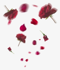 Flowers In Floating Transparent, HD Png Download, Transparent PNG