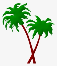 Leaf,plant,clip Art,tree,palm Tree,graphics,plant Stem,arecales - Palm Tree Vector Png, Transparent Png, Transparent PNG