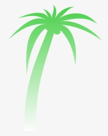 Palm Palmera Degradado Verde Tropicales Árbol - Palm Tree Clip Art, HD Png Download, Transparent PNG