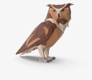 Eastern Screech Owl, HD Png Download, Transparent PNG