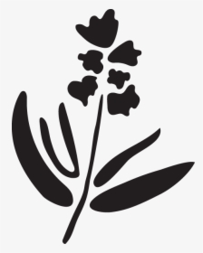 Illustration, HD Png Download, Transparent PNG
