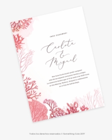 Calligraphy, HD Png Download, Transparent PNG