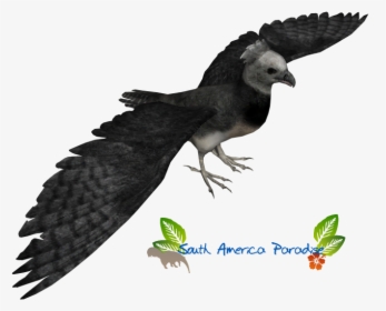 Harpy Eagle Clipart Harper - Claw, HD Png Download, Transparent PNG