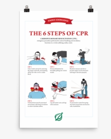 Onion 6 Steps Of Cpr, HD Png Download, Transparent PNG