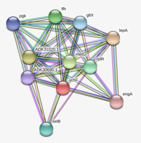 Ychf Protein - Circle, HD Png Download, Transparent PNG