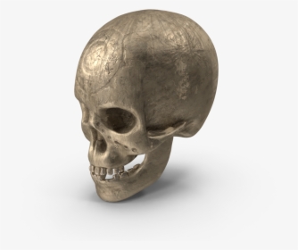 Ancient - Skull - H03 - 2k - Skull, HD Png Download, Transparent PNG