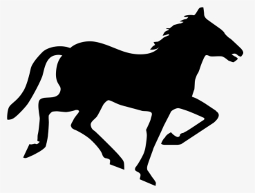 Horse - Wild Horses Or Ponies, HD Png Download, Transparent PNG