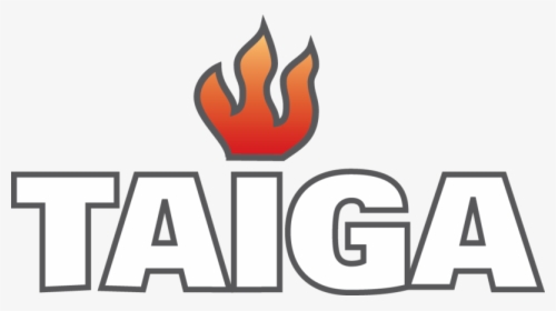 Flame, HD Png Download, Transparent PNG