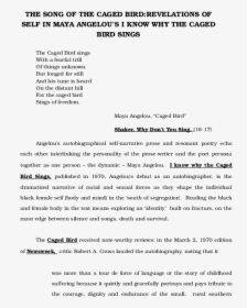 Document, HD Png Download, Transparent PNG